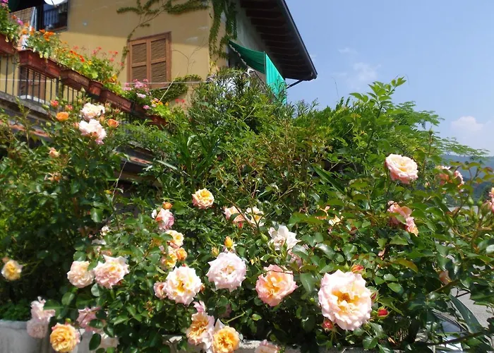 Bed and Breakfast Il Giuggiolo Calco 
